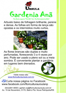 Gardenia
