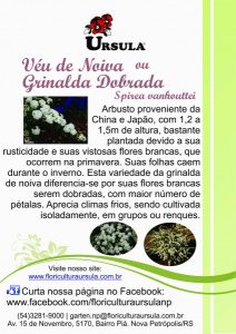 Grinalda Dobrada