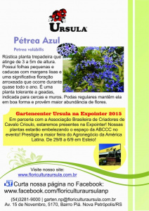 Petrea