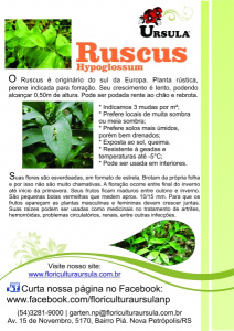 Ruscus