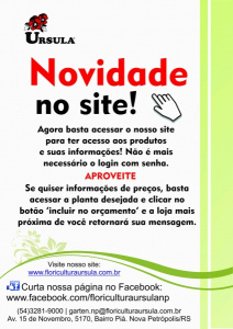 Novidade no Site!