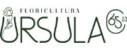 Florcultura rsula
